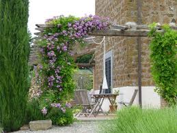 Pin Von Liliya Auf Chudesnyj Sad Cottage Garten Garten Pergola