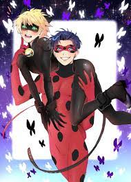 Pin On The Miraculous Tale Of A Ladybug And A Cat