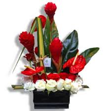 Red white blue flowers delivery. San Juan Tropical Feelings Flower Delivery Red And White Roses With Tropical Flowers Flower Delivery San Juan Online Florist San Juan