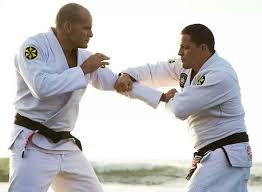 We suggest to use only working karate judo piadas for adults and blagues for friends. Xande Ribeiro On The Best Way To Combine Bjj Judo His Preparation For Adcc