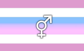 Estas personas optan por el pronombre neutro they/them en inglés, y elle/ellx en español. Que Es Genero No Binario Su Definicion Y Significado 2021