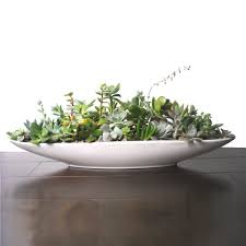 Dot Bo Furniture And Decor For The Modern Lifestyle Succulent Centerpiece Dining Room Dining Room Table Centerpieces Dining Room Centerpiece