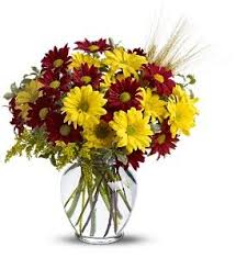We know funerals and sympathy life events are difficult to express the right emotions. Fall For Daisies In Denver Co Lehrer S Flowers Flower Arrangements Fresh Flower Bouquets Fall Flowers