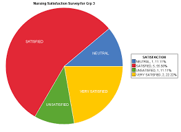 Pie Chart For Nursing Satisfaction Survey On Statcrunch