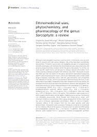 Image result for Sarcophyte piriei