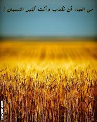 صور عن الكذب Sowarr Com موقع صور أنت في صورة Minimalist Photography Minimalist Landscape Wheat Fields