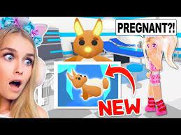 Maybe you would like to learn more about one of these? How To Tell If Your Pet Is Pregnant In Adopt Me Roblox Youtube Roblox Roblox Funny Pet Dragon