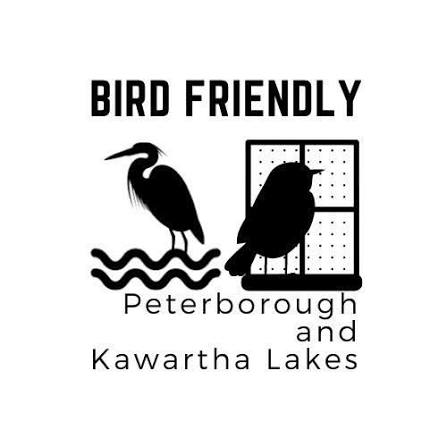 Bird Friendly Peterborough and Kawartha Lakes (@birdfriendlyptbokl) •  Instagram photos and videos
