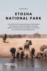 We did not find results for: 150 Etosha National Park Ideas In 2021 National Parks Namibia Travel Photographer