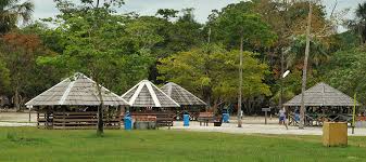 Check spelling or type a new query. Suriname Dagtour Colakreek Does Travel Cadushi Tours
