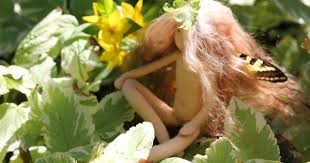 Etsy Jpg Soft Sculpture Faeries Beauty