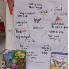 Animal Anchor Chart Pyp Units Kindergarten Anchor Charts