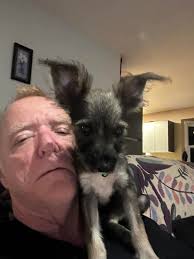 Sula pets, Elvis and Gus Gus friendship