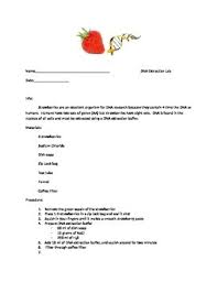Explain what happend in the final step when you added ethanol to your strawberry extract. Dna Strawberry Extraction Lab By Adam Macauley Tpt