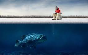 Pixabay users get 20% off at istock with code pixabay20. Ice Fishing Wallpaper Fish Wallpaper Fish Fishing Girls