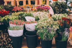 We did not find results for: Why Are Flowers So Expensive