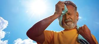 SURVIVING THE SUMMER: TIPS AND TRICKS FOR BEATING THE HEAT - Dwarka City