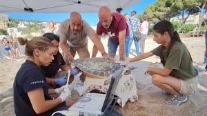 Videos xxx de rafaela nery i rapped on the door and she