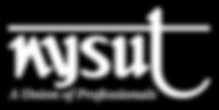Nysut member benefits catastrophe major medical (cmm) insurance trust plan. Http Www Newburghta Com Ntaresources Nysut 20blueprint 20for 20retirement Pdf