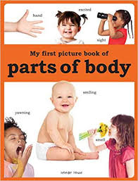 Teach body parts for kids with tamil phonics: My First Picture Book Of Parts Of Body Buy Tamil English Books Online Commonfolks