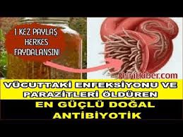 Youtube Saglikli Yasam Youtube Dogal