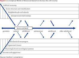 the biosocial approach to human development behavior and