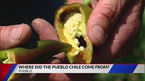 We did not find results for: The History Of How The Pueblo Chile Was Discovered