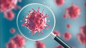 Image result for Corona virus