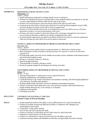 Maybe you would like to learn more about one of these? Education Professor Resume Samples Velvet Jobs