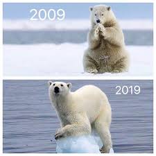 Environmentalists Are Putting A Climate Change Twist On The 10yearchallenge In 2020 Save Planet Earth Climate Change What Is Climate