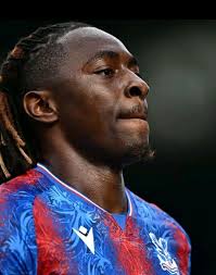 Tottenham Hotspur Transfer Discussions and Player Needs