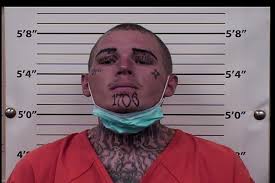 APD Homicide detectives filed murder charges today against Dakota Don  Briscoe following his arrest by New Mexico State Police Thursday in Las  Cruces. Briscoe, 34, is accused of shooting Eric Carbajal and