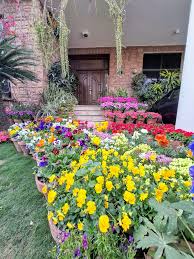 I love Coneflowers. They come back every year around my patio.