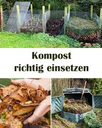 Kompost Bringt Pflanzen Zum Wachsen Wichtig Ist Dass Er Richtig Eingesetzt Und Dosiert Wird Sonst Kann Er Den Pflanzen Kompost Pflanzen Wachsende Orchideen