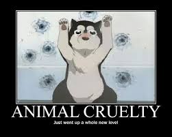 Animal Cruelty By Kittykatkuro923 On Deviantart Fullmetal Alchemist Alchemist Anime