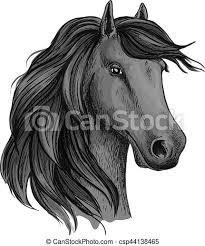 Royalty free equine clip art of a black and white wild mustang horse running forward towards the viewer. Sketched Head Of Mustang Or Horse Stallion Head Sketch Of Horse Mustang Or Stallion Dapple Gray Broodmare Or Mare Foal Or Canstock