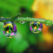 Pin By Carla Ruka On Dewdrops Nature S Jewels Water Drop Photography Water Drops Dew Drops