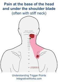 Pin On Neck Exercises