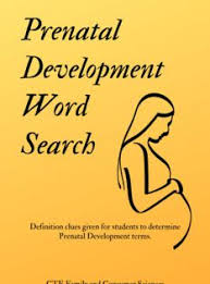 Prenatal Development Word Search Prenatal Development Human Growth And Development Family And Consumer Science