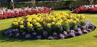 Wednesday Loves Flower Bed Designs Backyard Flowers Beds Landscaping With Rocks