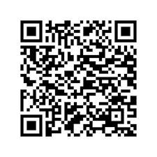 3ds qr codes full games free : Pokemon Rumble Blast Usa Qr Code 3dspiracy