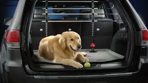 Https Encrypted Tbn0 Gstatic Com Images Q Tbn 3aand9gcstxheti Tshjrwvisspxwgwyxpoza1gzoeaw Usqp Cau