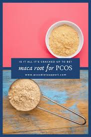 What does maca do for a woman. Maca For Pcos Is It All Its Cracked Up To Be Pcos Maca For Pcos Pcos Diet Support