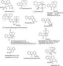 Image result for Pleiocarpa