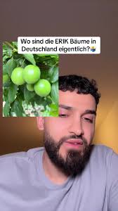 Erik Bäume: Wo findet man sie in Deutschland?