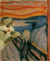 Best Ever Sevimli Kedi Yavrulari Hayvanlar Sanat Tarihi