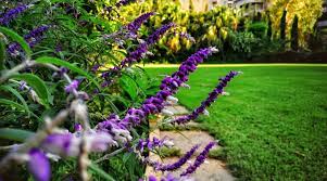 Availability of services may vary by geography. Find The Best Lawn Care Services In Dubai For Better Lawn Care