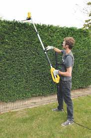 Wann darf ich meine hecke schneiden? Hecke Schneiden Tipps Zum Verschneiden Anndora De News