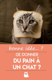 Epingle Sur Chats Et Chatons
