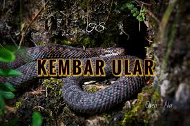 Mimpi melihat, dipatuk, digigit ular. Kembar Ular Fiksyen Shasha